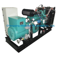 Lyk19g300kw De alta calidad Eapp Gas Generator Set